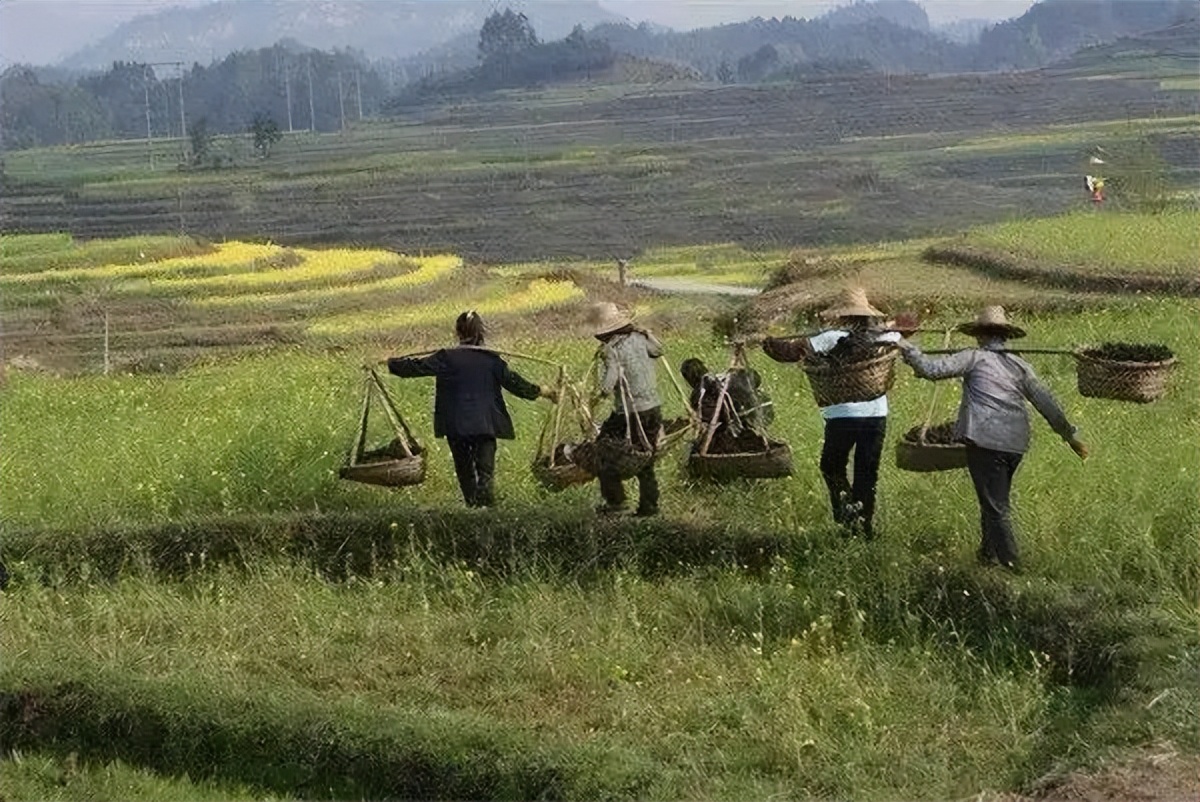年轻人在城市里买房安家，农村房产将作何处理？或许可作养老之所