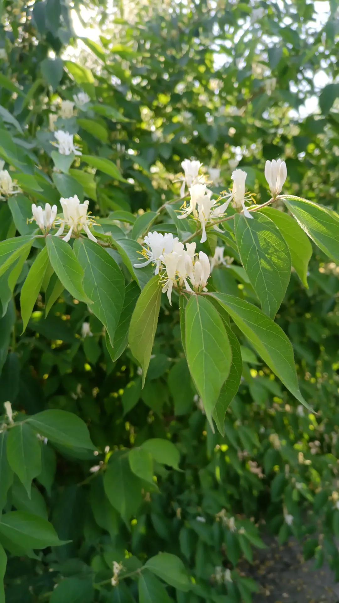 什么样的关系才能叫做朋友,朋友怎么样才算交心
