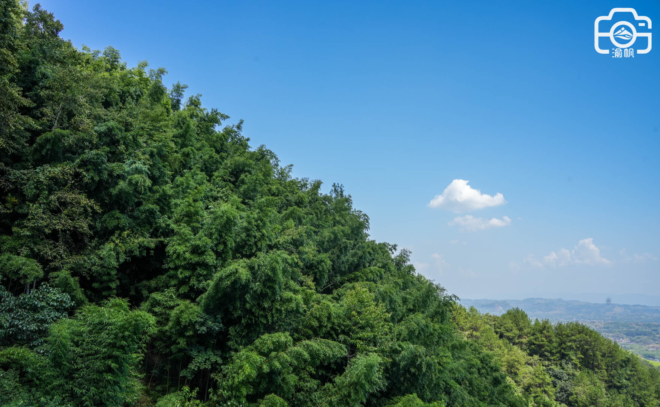中国最美竹林景区蜀南竹海,重庆百里竹海地图