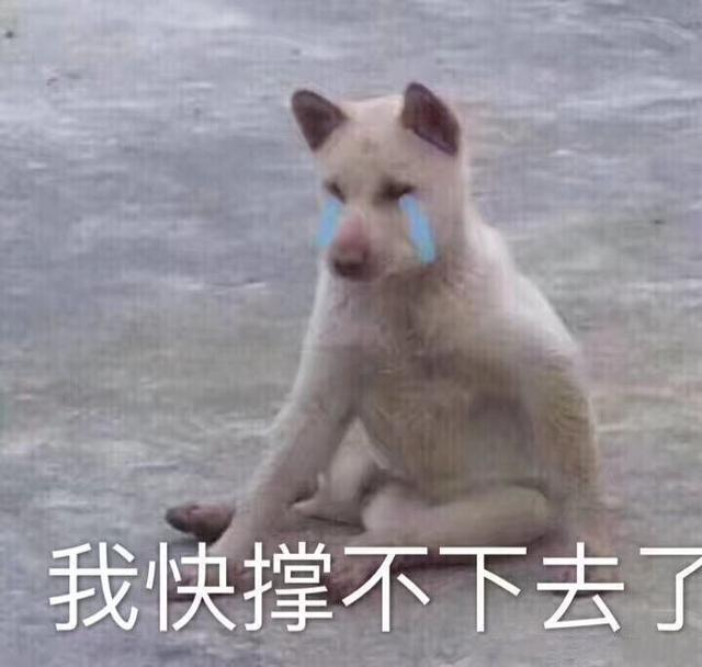 宋仲基财阀家的小儿子演技,宋仲基财阀家的小儿子人设剧情