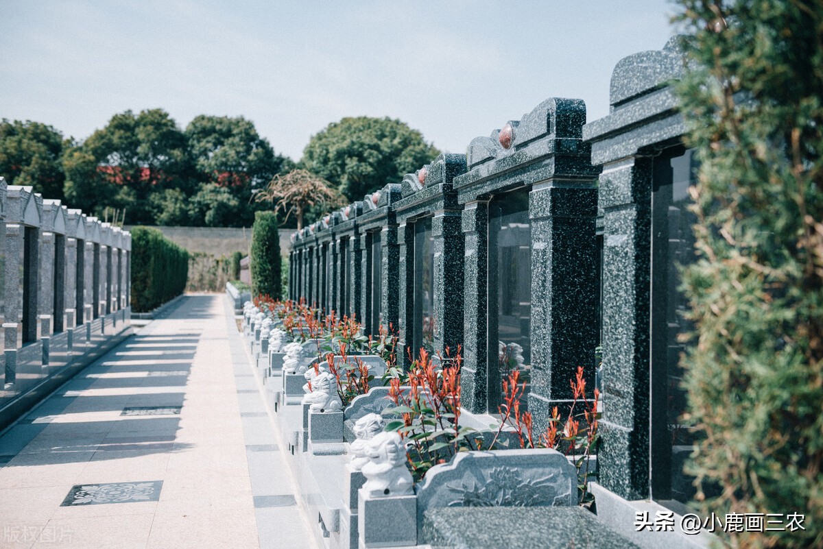 春节老家不上坟有什么讲究,过春节上坟十大禁忌