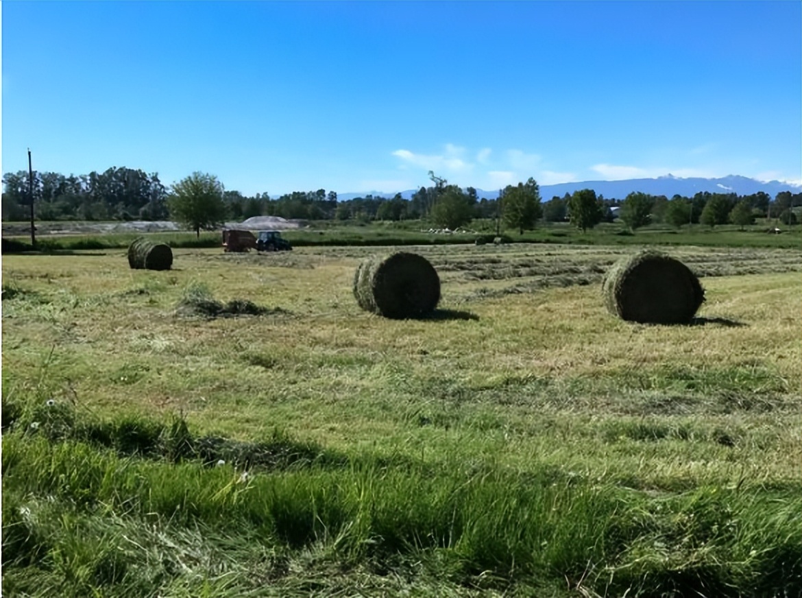 涓浗缇庡コ鍐滃満,涓浗濂冲啘鍦轰富