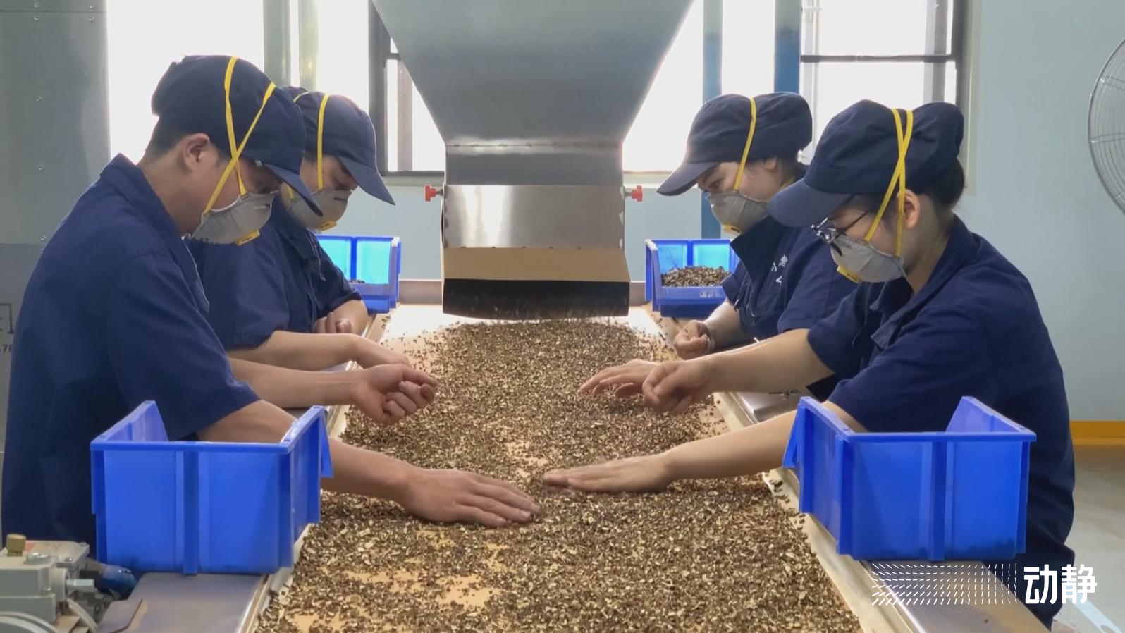 引进项目超2000个，金额上千亿！贵州长三角携手共赢