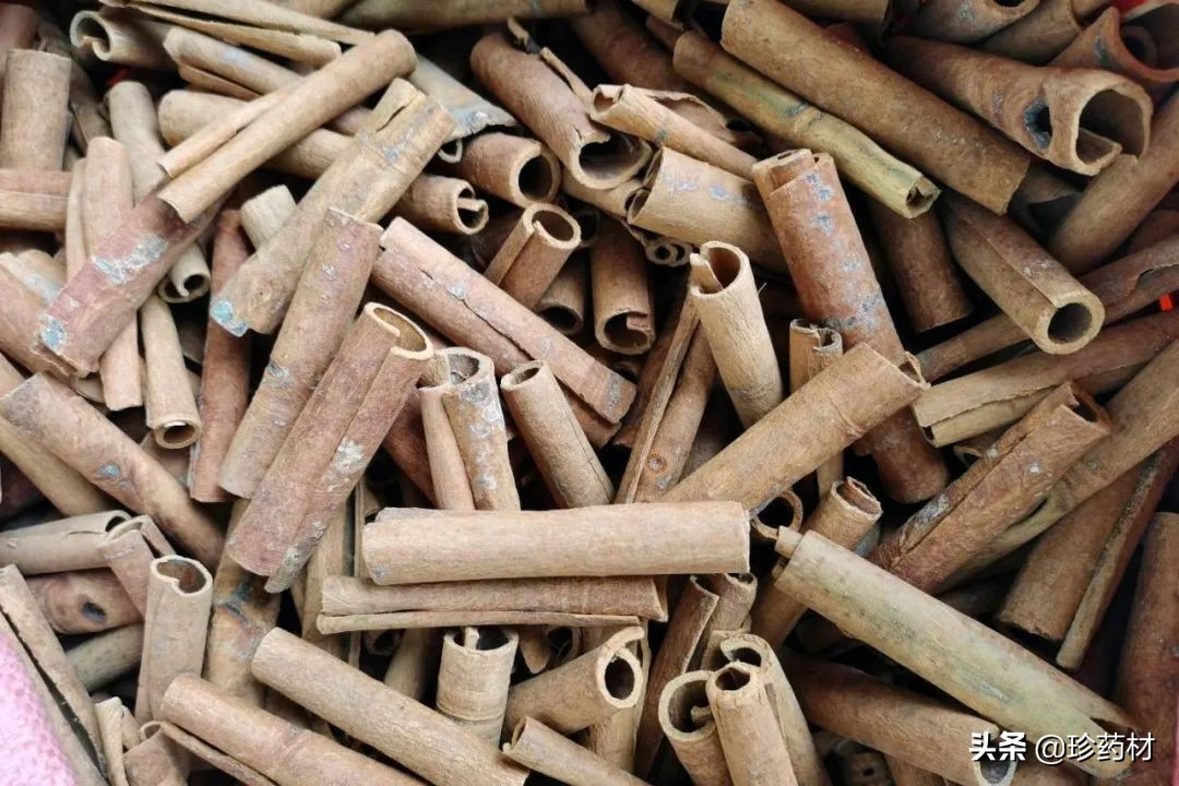 中药材市场快讯,黄连市场快讯