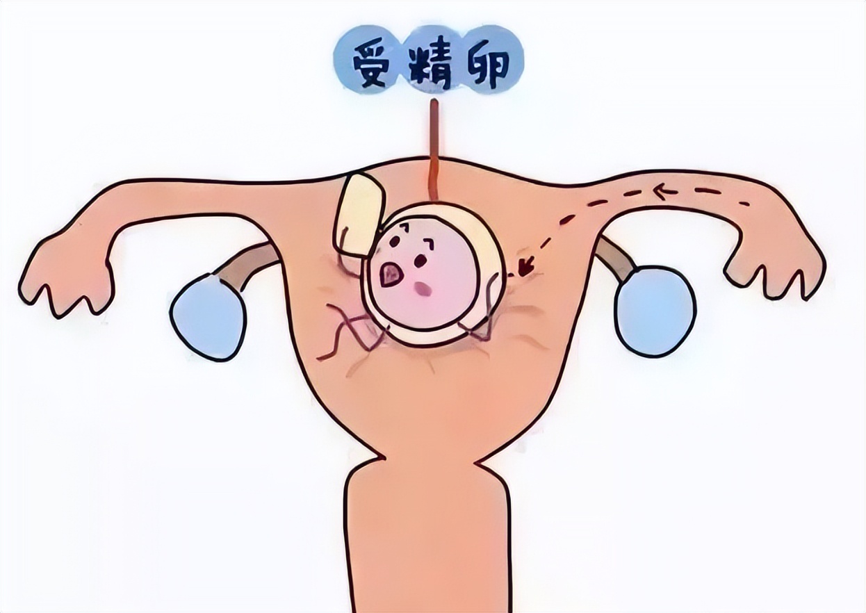 孕酮低了怎么办,孕七周孕酮低怎么办