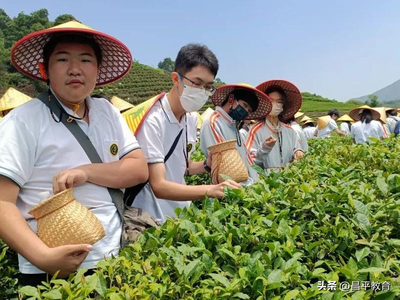 行走改变视界，视界提升境界丨研学系列之回龙观育新学校