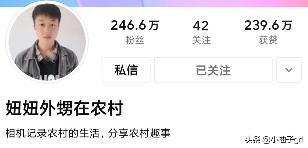 自媒体大咖之间的关系大揭秘桃子姐和幺弟妞妞和农村和小燕子