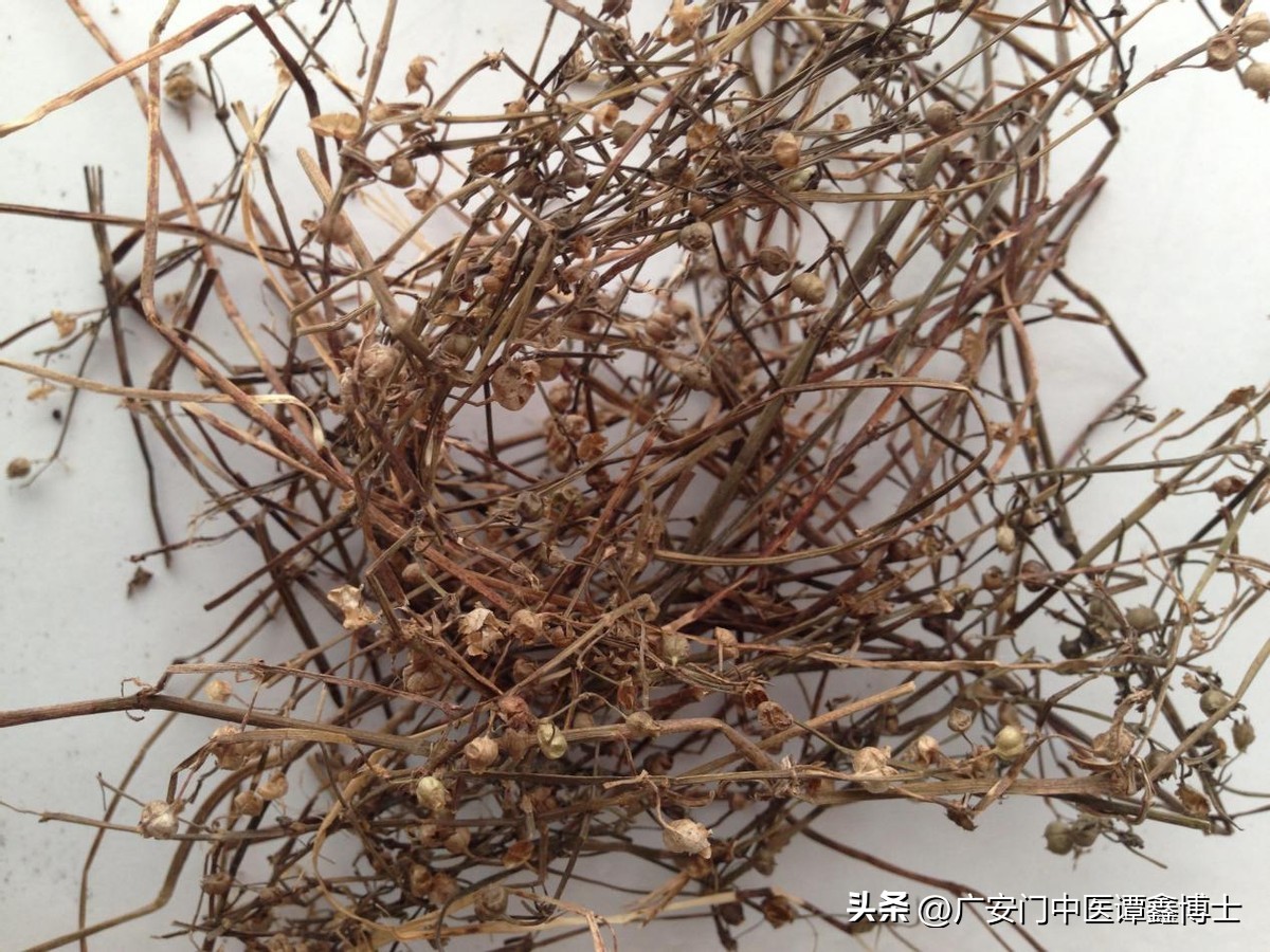 治疗支气管肺癌的十大中成药,肺癌阻塞性肺炎中药