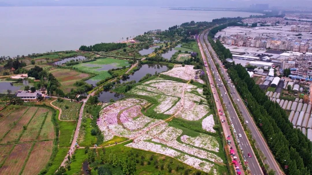 云花大结局云花和谁在一起了,斗南云花