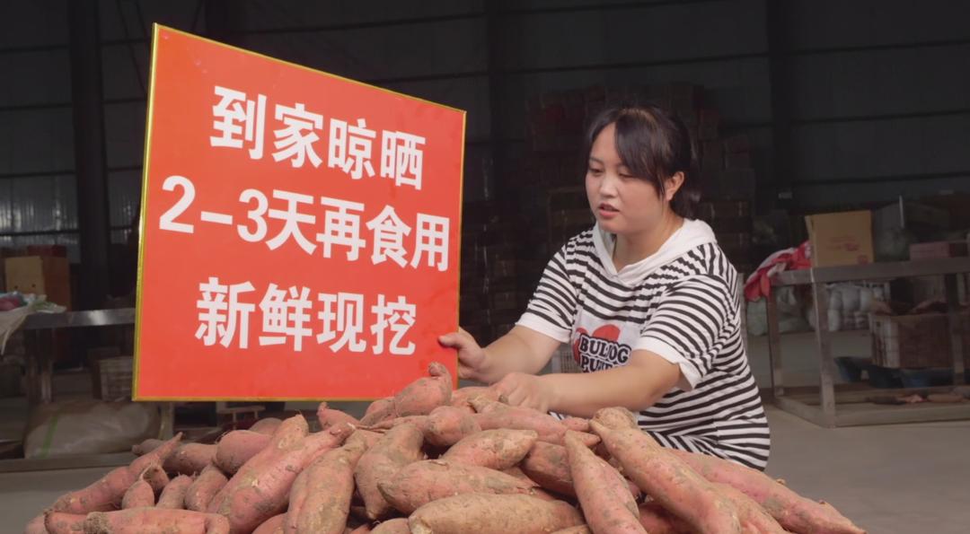 地瓜的盈利模式,地瓜如何销售市场