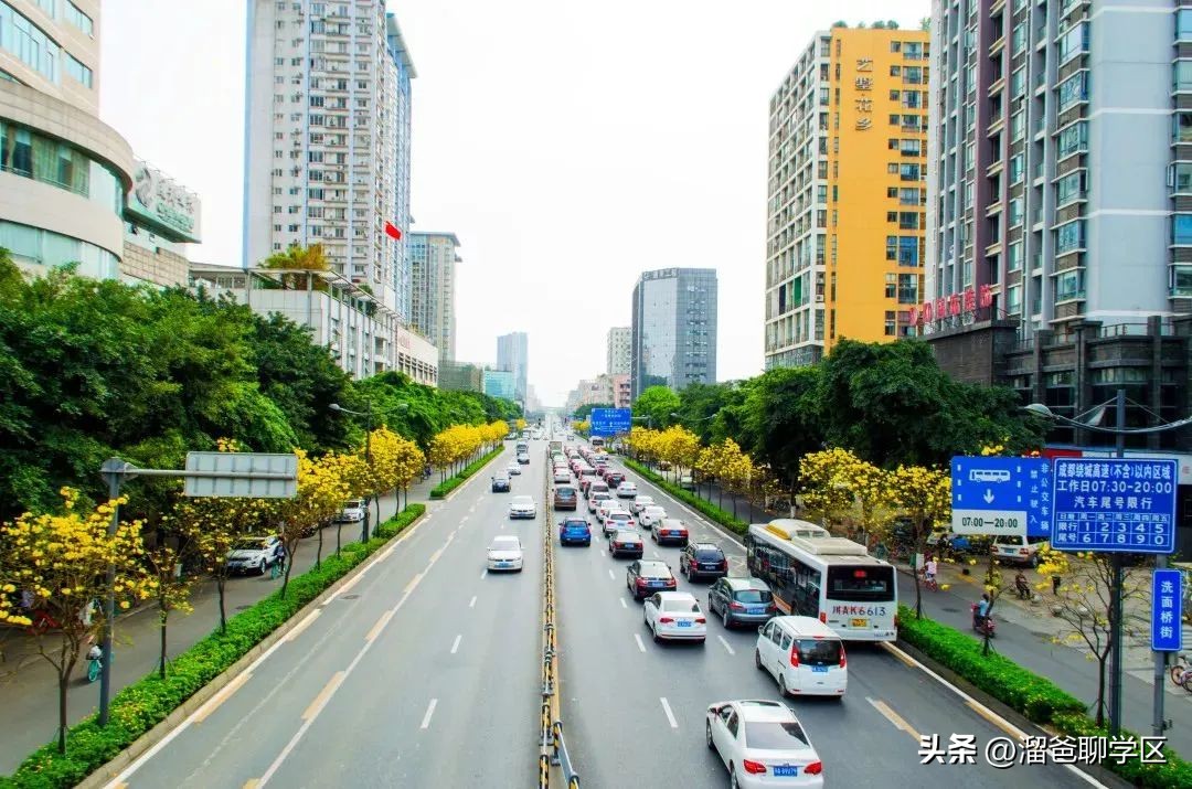成都小学排名前十的小学,成都十大小学排名