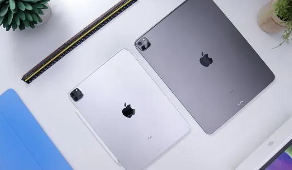 苹果冬天怕冷,苹果怕冷是真的吗