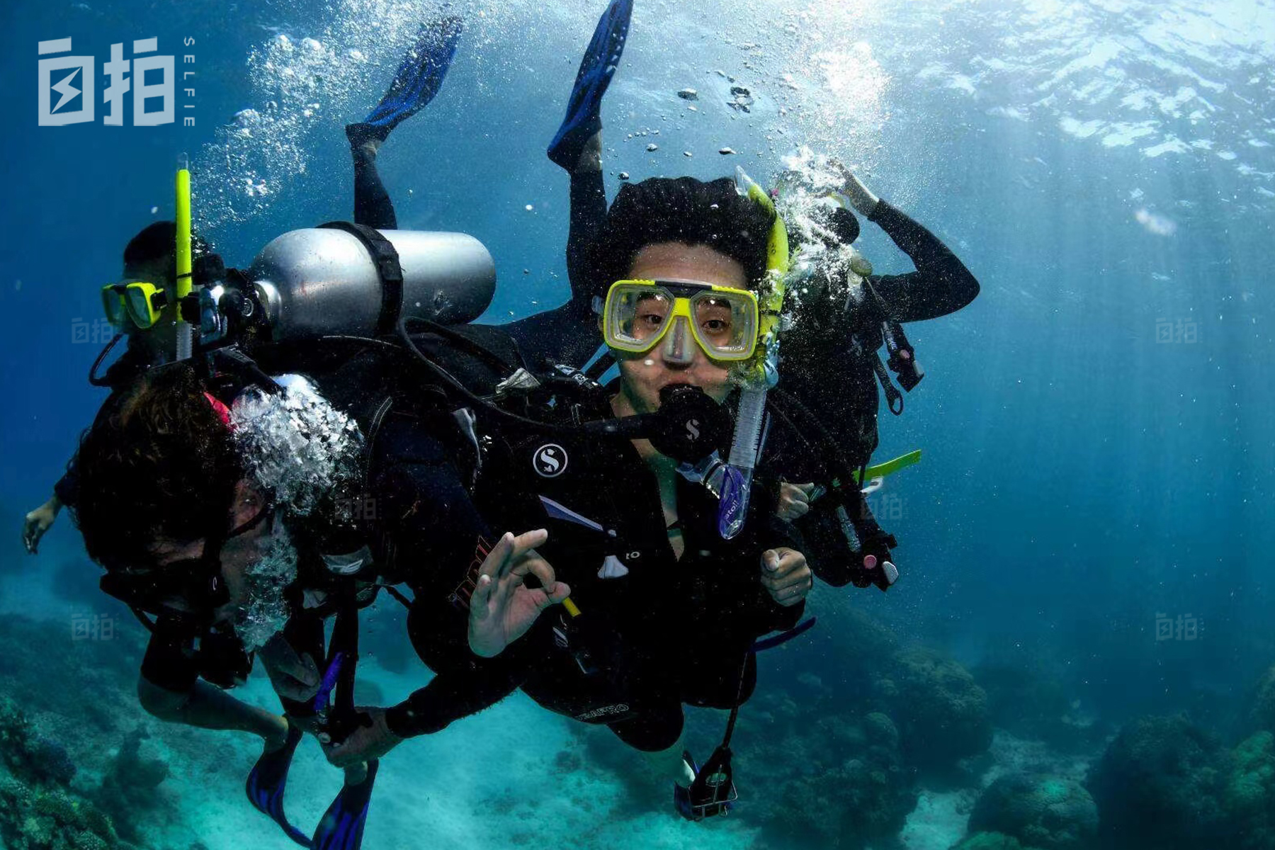 在老家上班像坐牢，我辞职出国打零工、猎狐狸，靠体力活养活自己