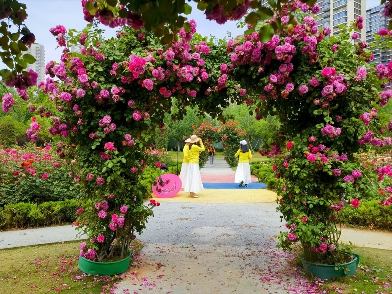 郑州南边最美公园,春天郑州最美公园