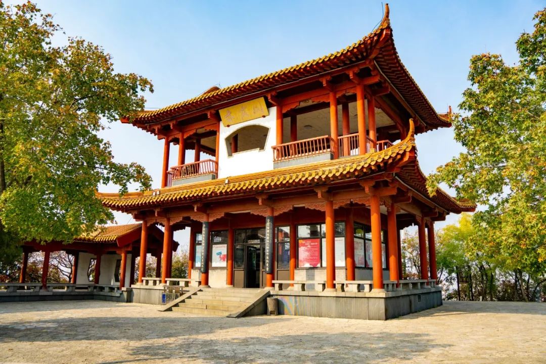 谁不说俺家乡好山东农民,谁不说俺家乡好山东大合唱视频