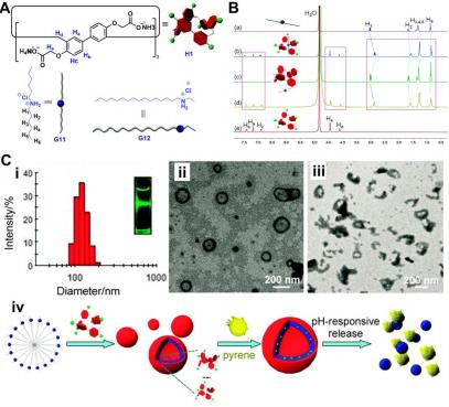PXG/H13在非共价相互作用下，是如何有效阻止PXG反应的