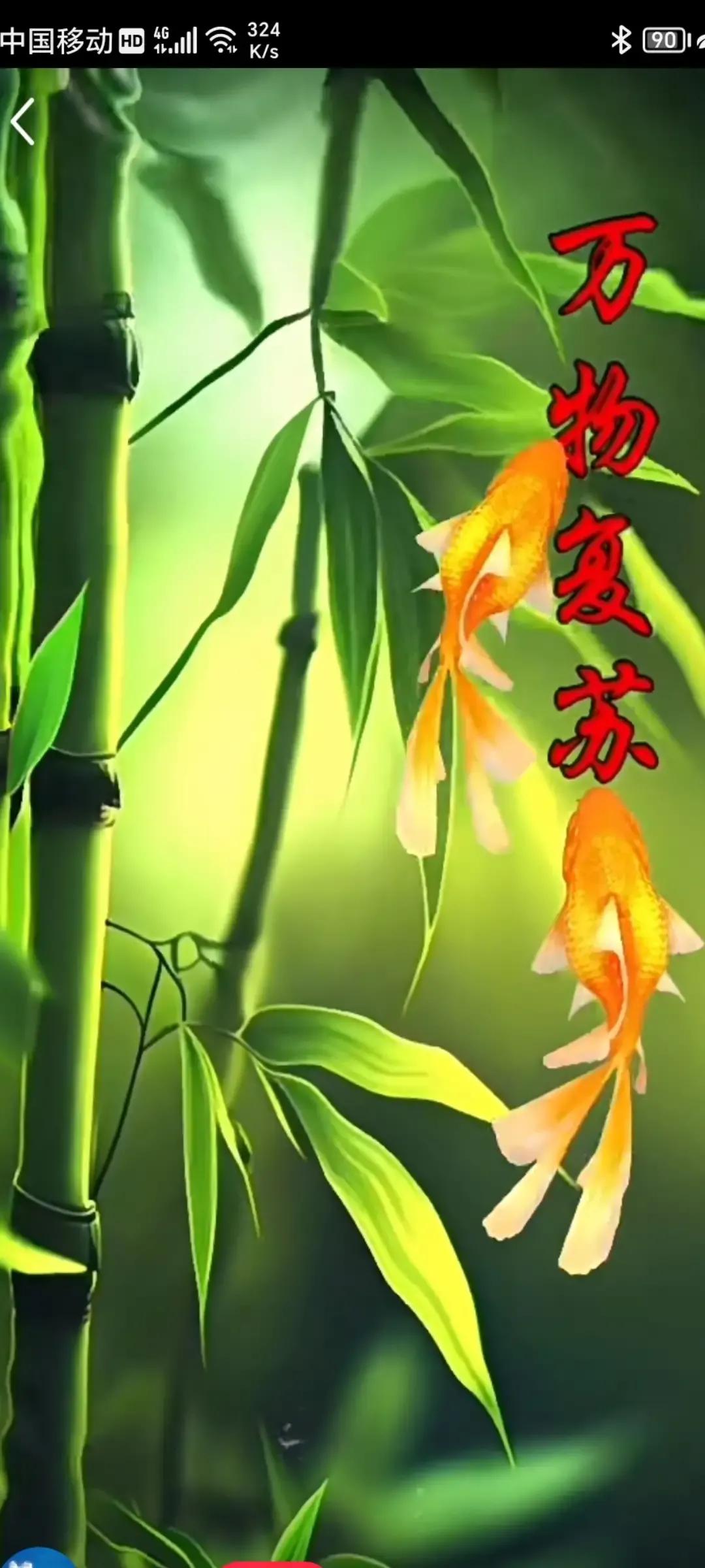 2023年农历是什么年癸卯年,2023年农历癸卯年是金兔年吗