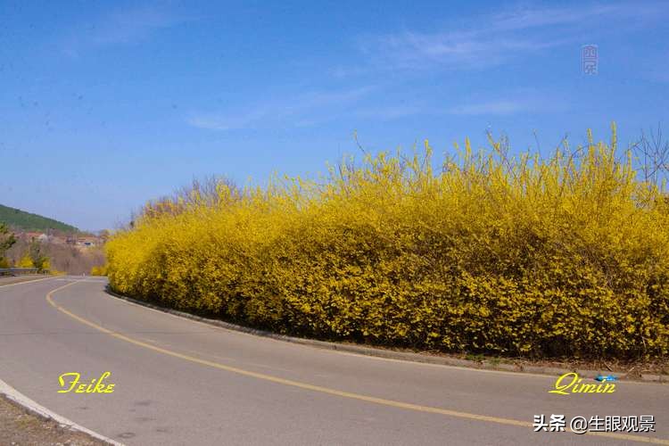 北京近郊春景,济南近郊春景