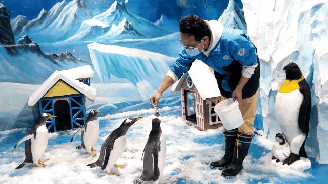 10元游温州景区,10元游温州