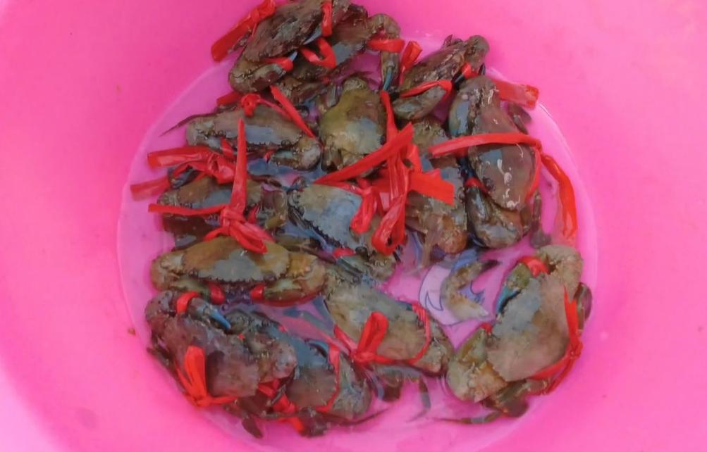 三亚大鲍鱼批发市场,三亚去哪里买海鲜最便宜