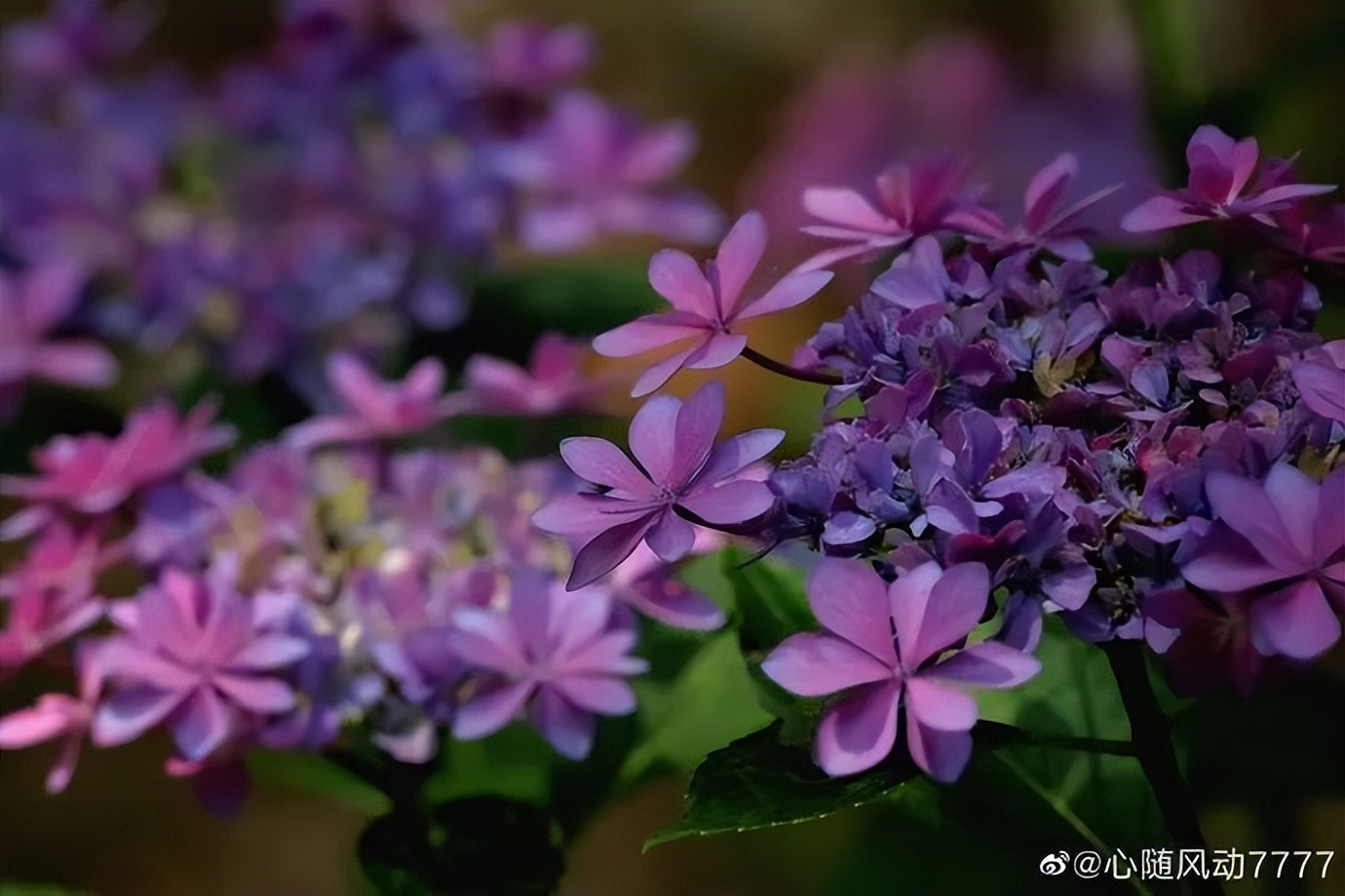 多大事儿！找李医生