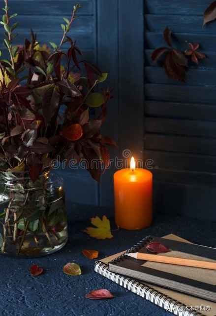 情绪失控后怎么向别人道歉,被人痛骂之后如何调整好情绪