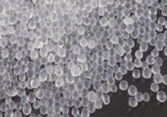 居里夫人何泽慧简历,何泽慧与居里夫人合影照片