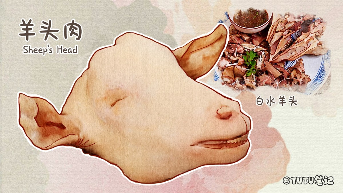 常见羊肉吃法和分类,史上最全羊肉各部位吃法