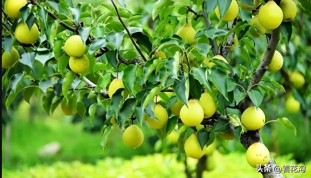 泌阳县1965年地图,河南泌阳县最新人口