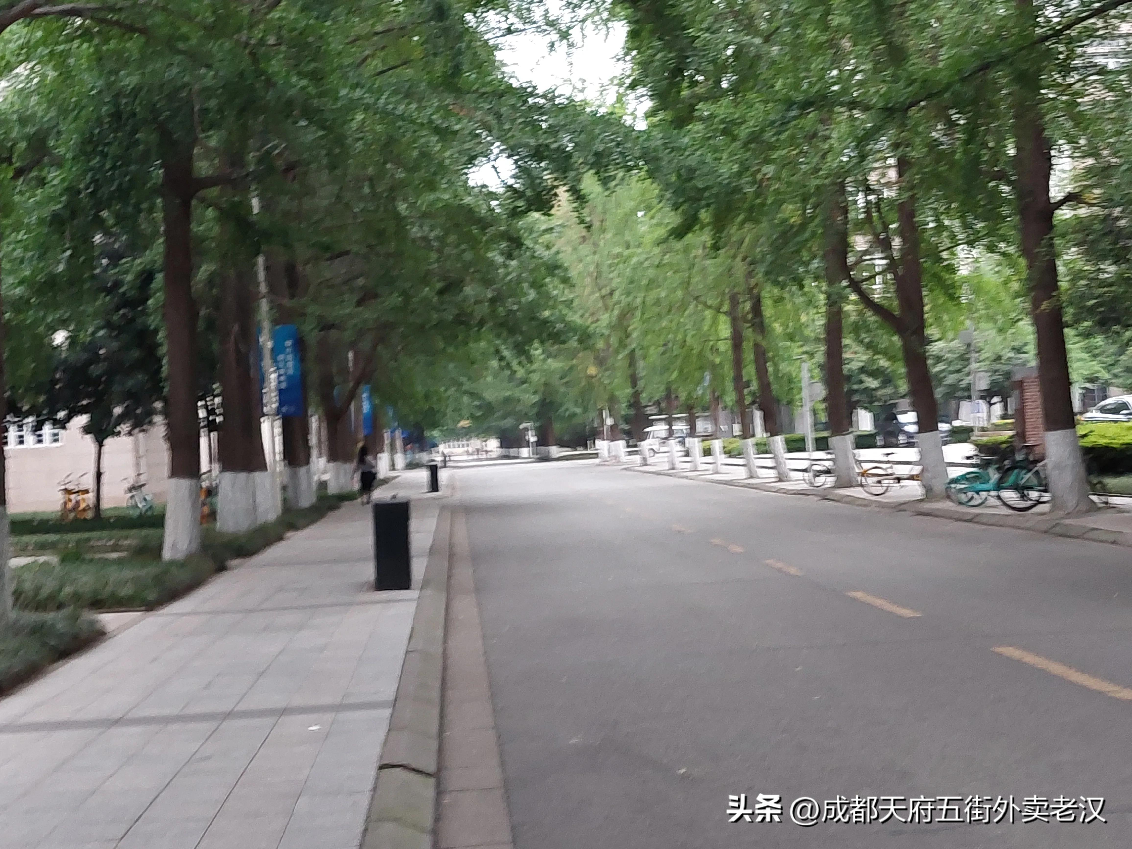 电子科技大学计算机专业是a吗,电子科技大学计算机专业全国排名