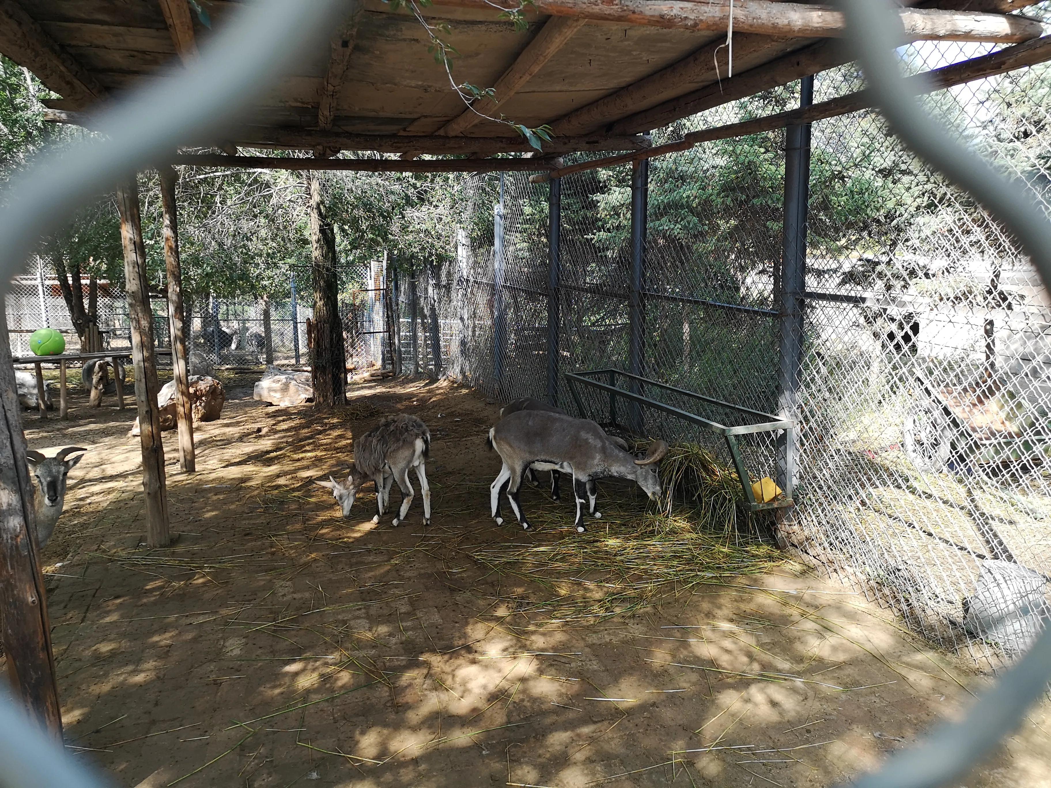 西宁一座不大的城市,西宁人少的山