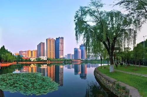 花园的神秘事件,湖滨花园杀人案