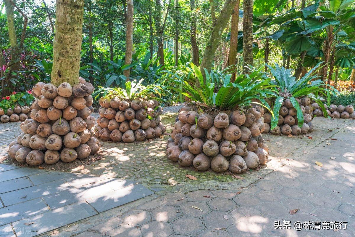 中国最有名的温泉小镇,冬天天然泡温泉度假的地方