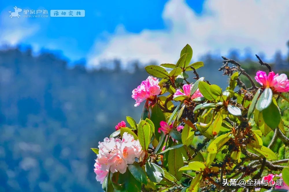 四川大凉山温泉瀑布视频,四川大凉山螺髻山温泉瀑布