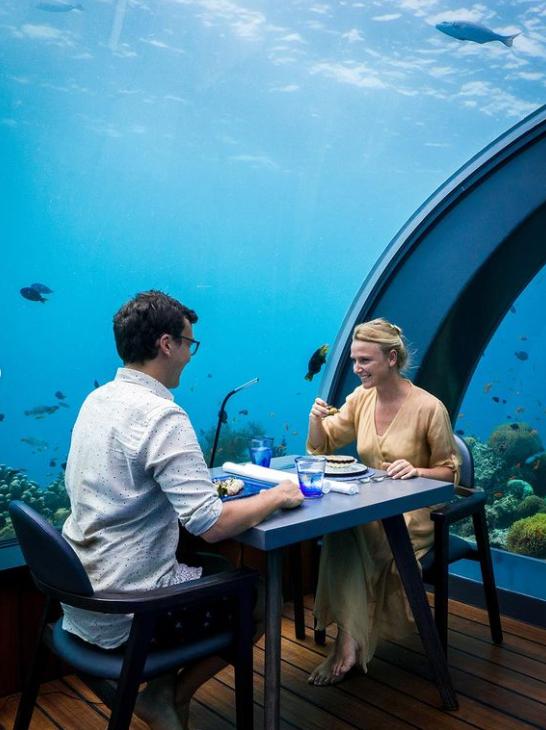 这对年轻夫妻放弃高薪，旅行2年花光存款，潇洒8年后向全网凡尔赛