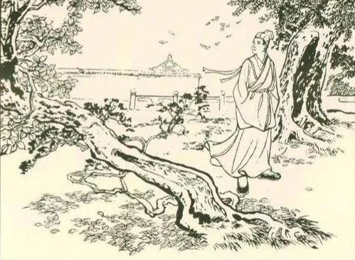 聊斋故事刺猬精,聊斋白兔精故事