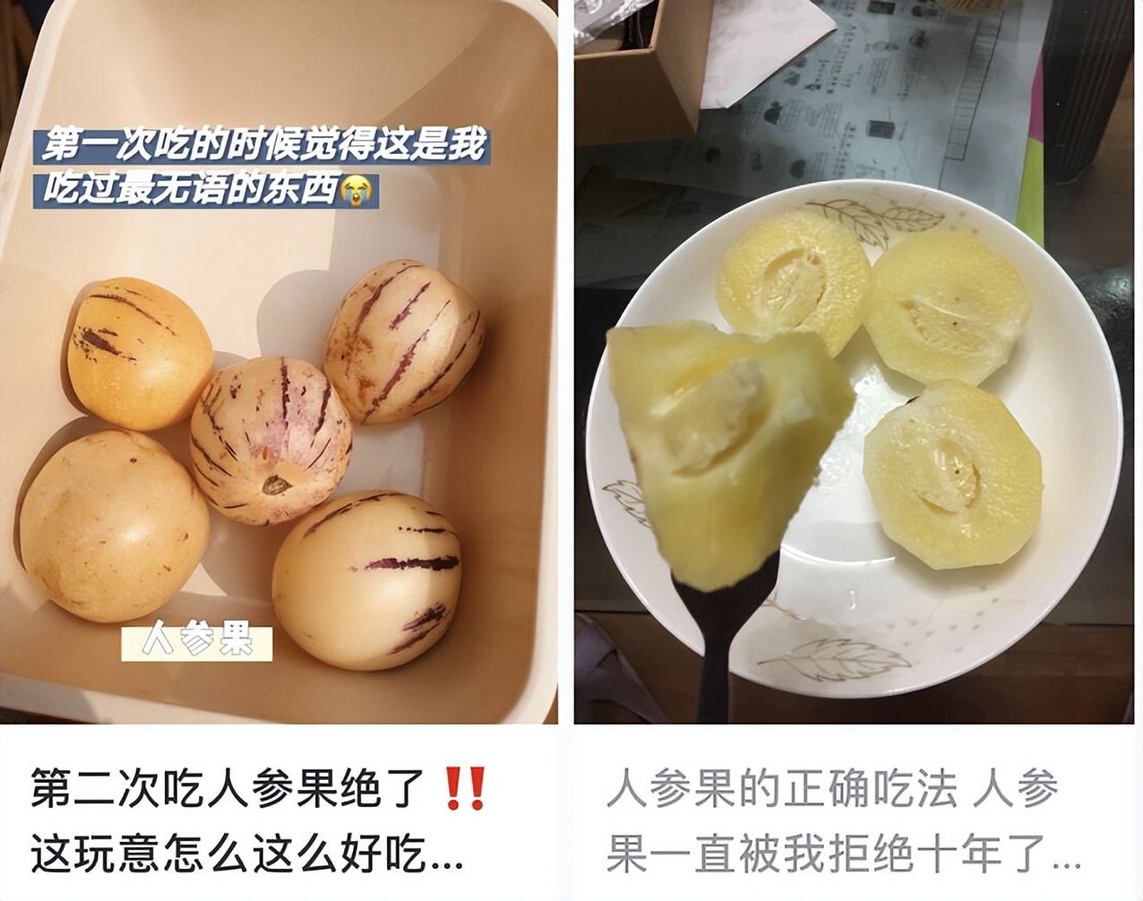 水果中的爱马仕多少钱,高端水果中的爱马仕