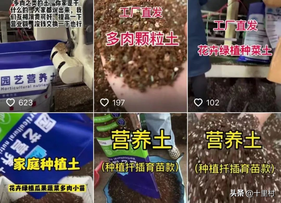 抖音卖水果年入百万,抖音上卖牛粪