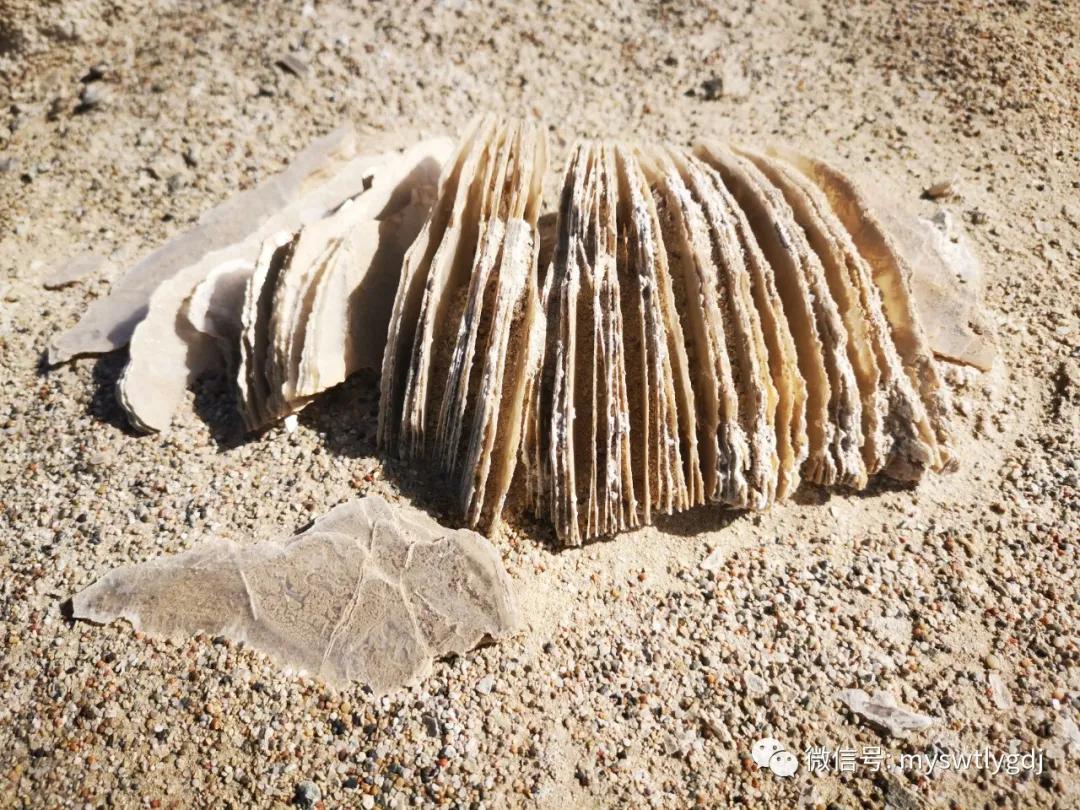 探索神奇的地方合集,探索神奇