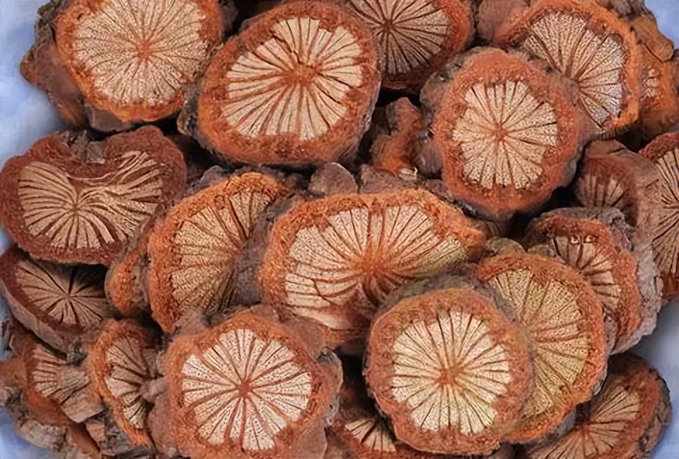 无需手术!输卵管炎症就是一团瘀!中医经典通管散,消炎又化瘀