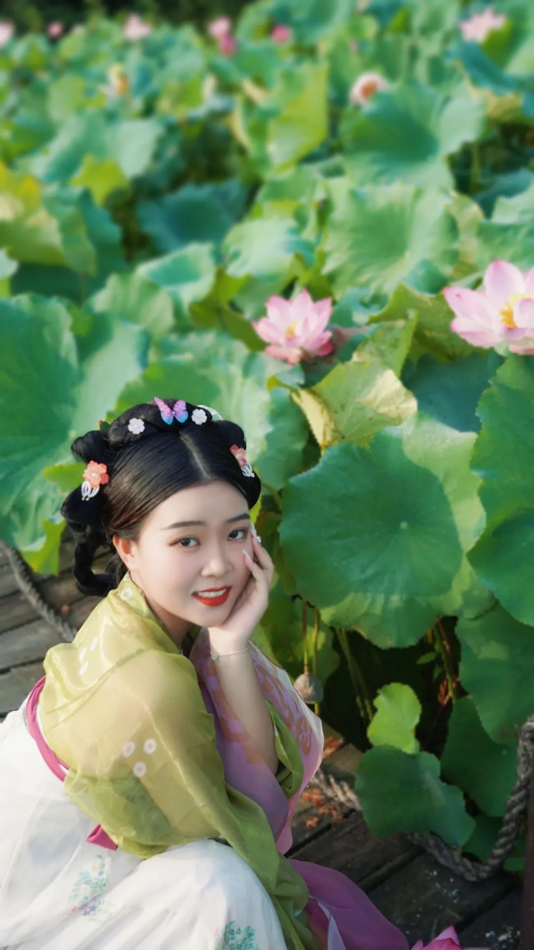 小暑已至！夏日顶流登场，一池荷风，满院莲香，惊艳了整个夏天！