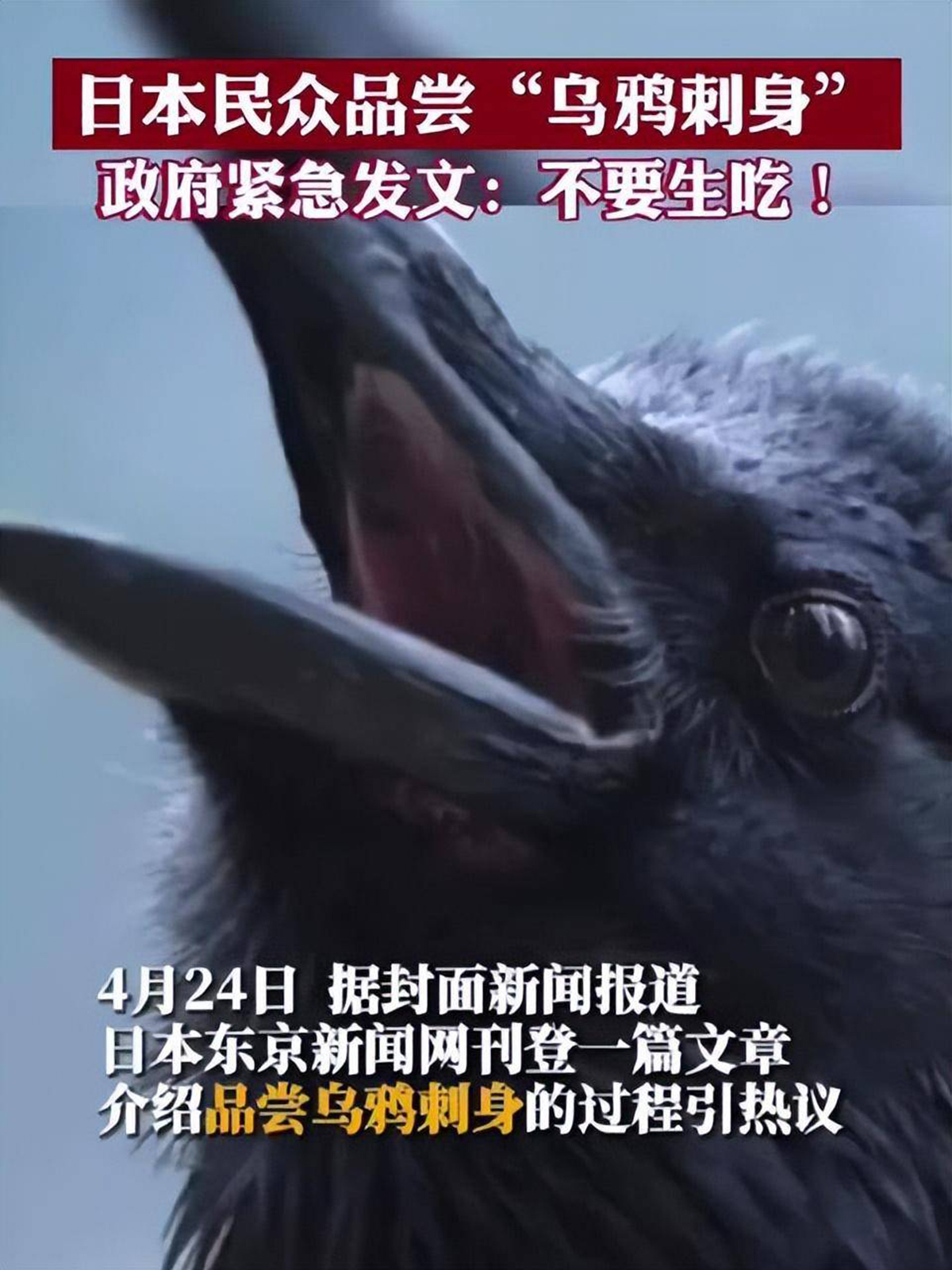 为什么日本人喜欢吃生鱼,为什么日本人吃生肉不会生病