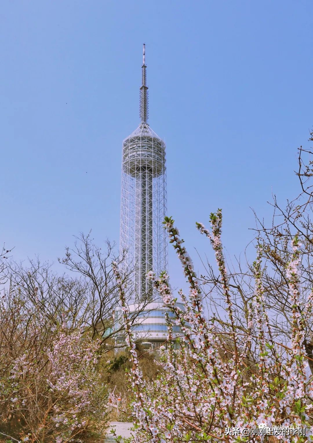 大连60岁以上老人免费景点,大连过年免费景点大全