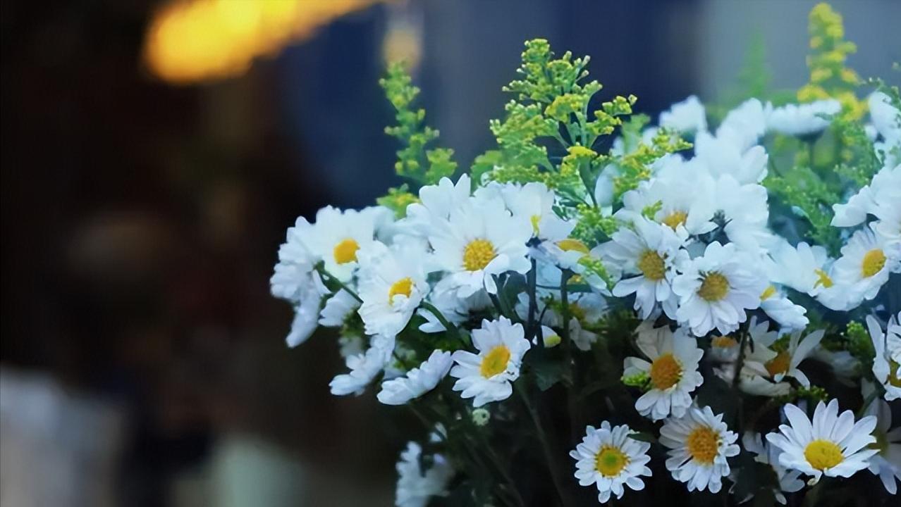 喜欢的人不给你发消息怎么回复,喜欢的人不怎么回复你怎么办