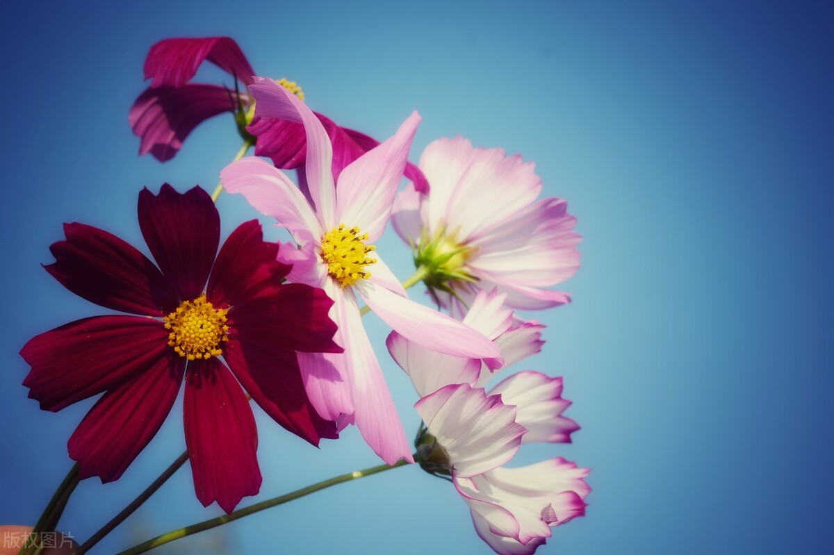 让人穷得很稳定的习惯,让一个人穷得很稳定的原因