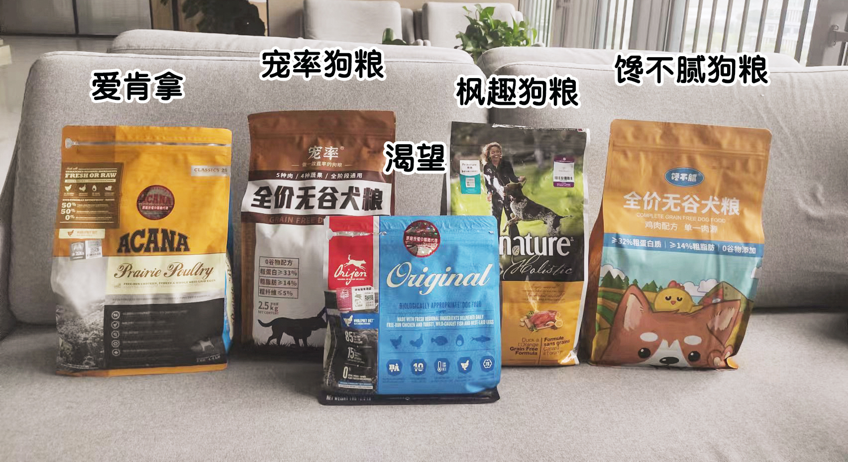 狗狗对你侧躺表示什么,狗狗向你伸懒腰表示什么