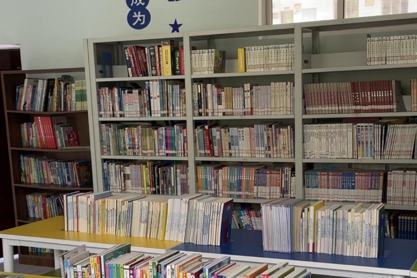 复旦对口支援计划,复旦大学对口支援西部高校计划