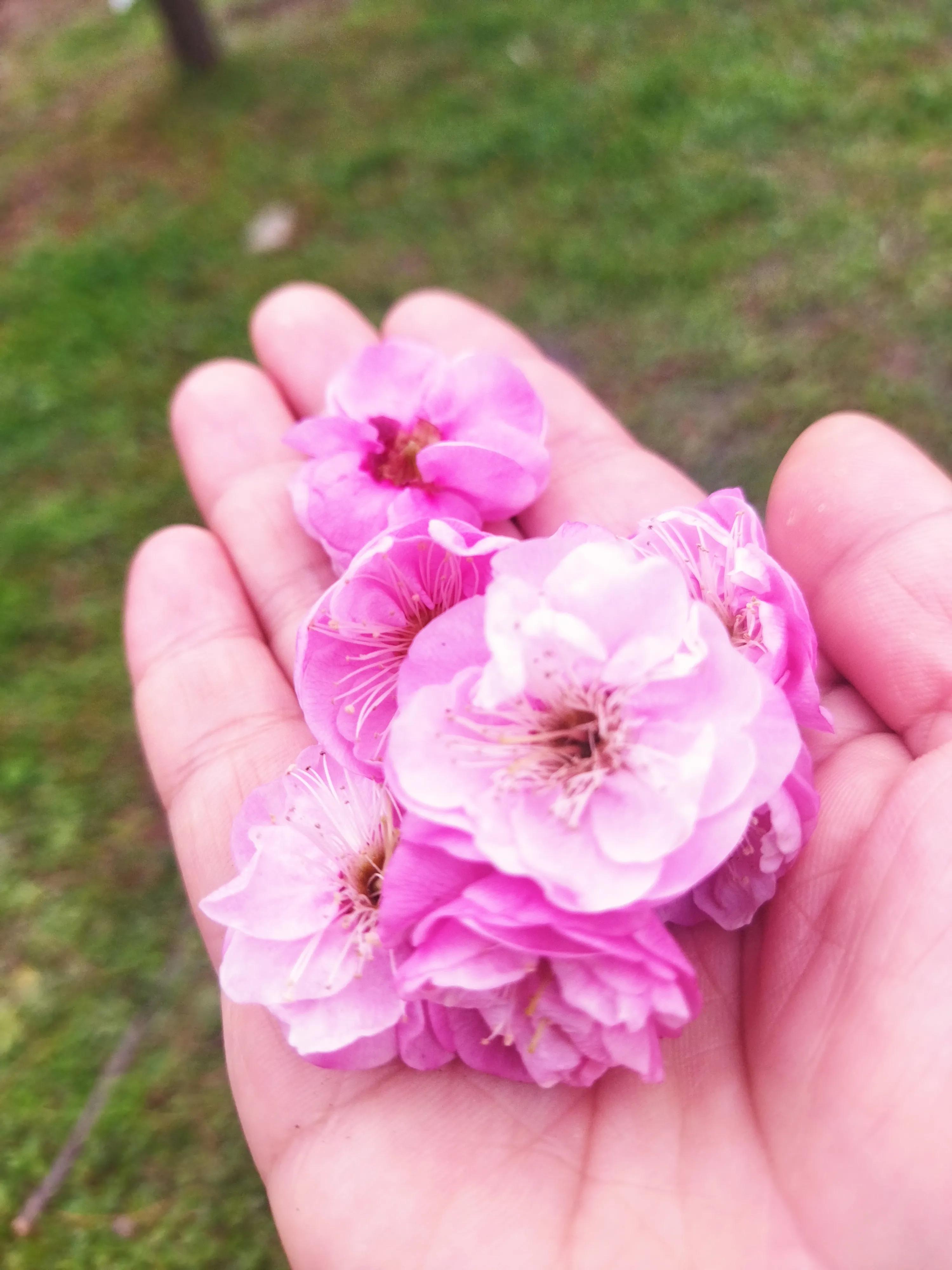 连续整夜的失眠,突然连续两晚失眠