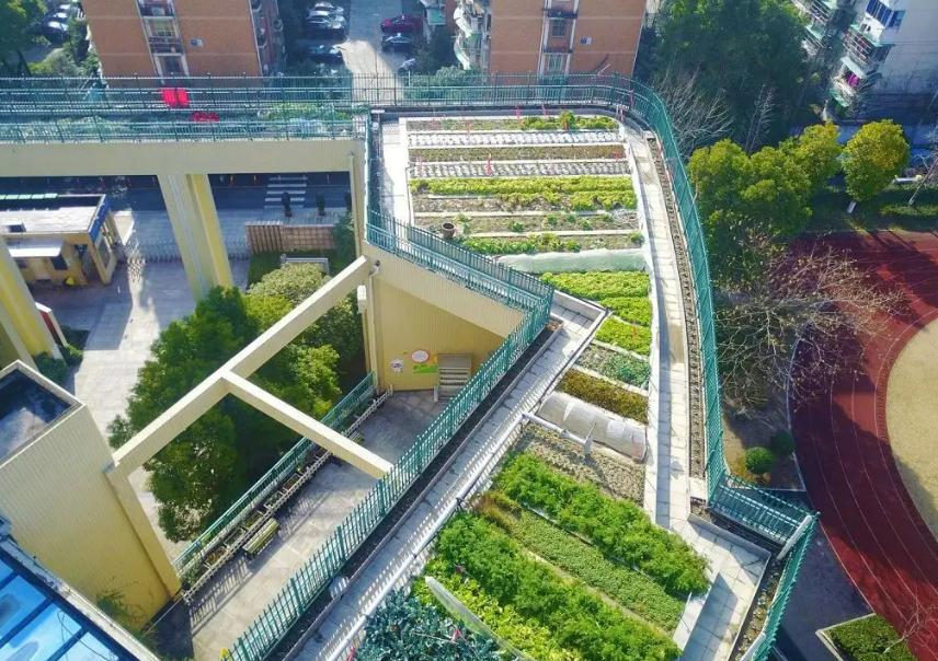 广州70层的楼,广州70层空中农场地址在哪里