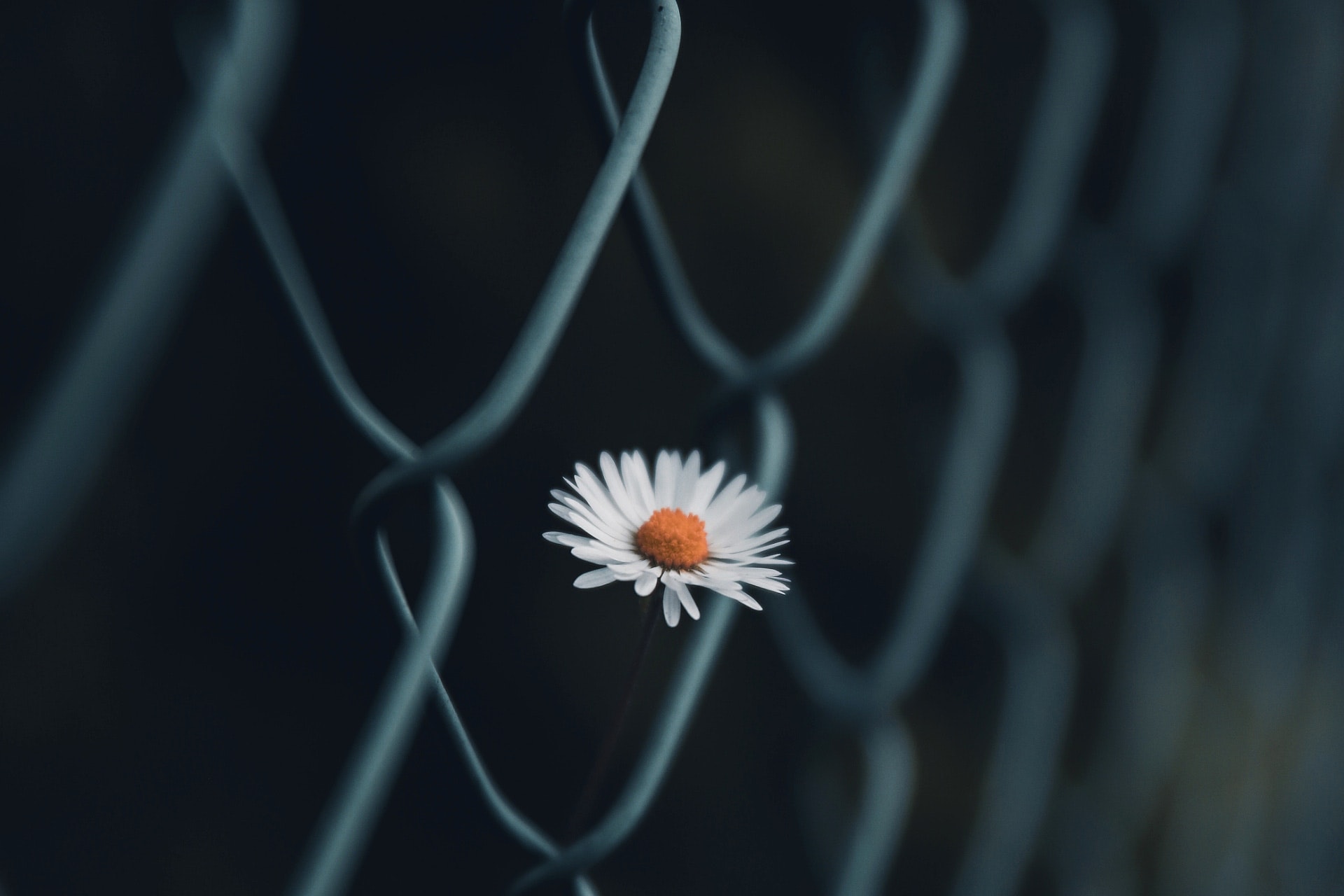 写给四十岁以后的人：这三种亲戚，少来往